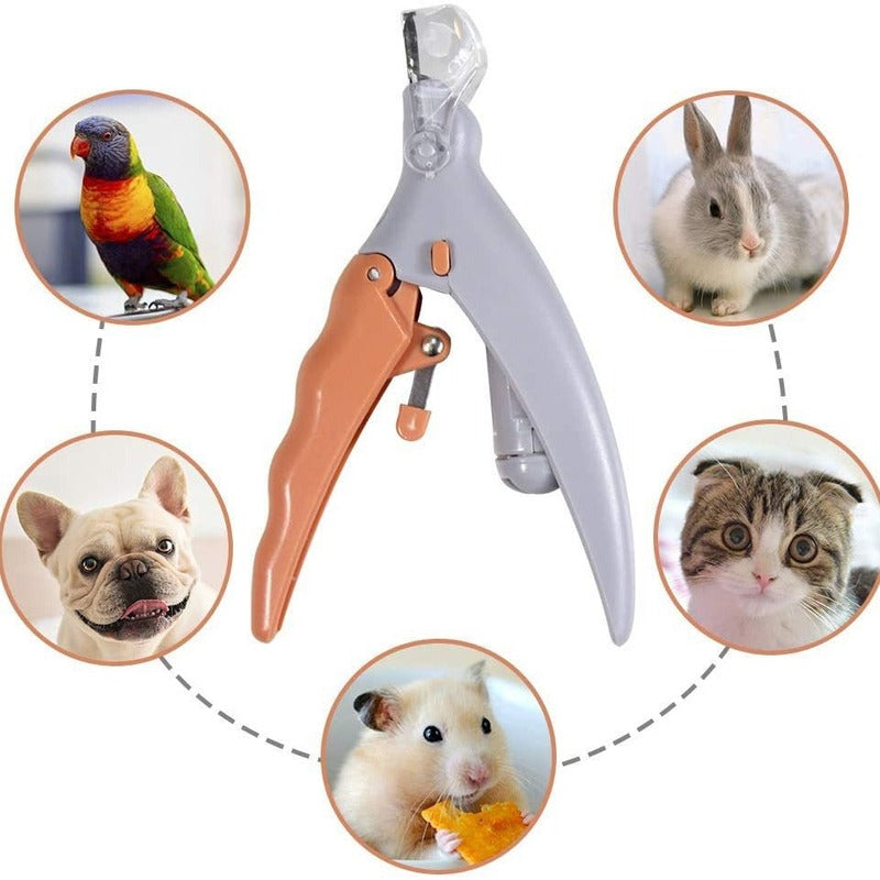 Professional Cat & Dog Trimmer Professional LED - lit pet nail clippers for cats and dogs. Toe - claw cutting tool, pet supplies.