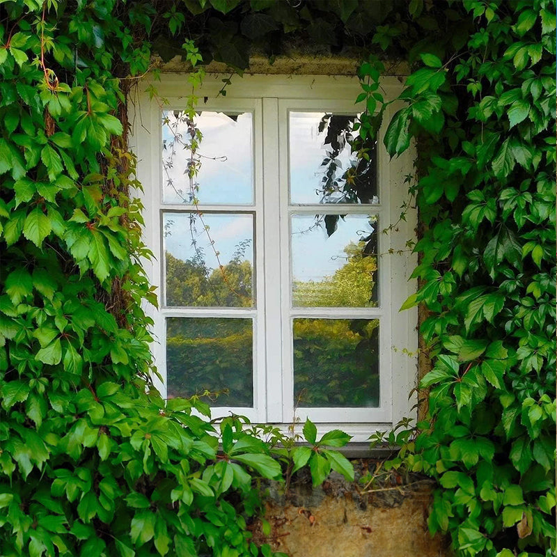 One-Way Static-Cling Window Privacy Film